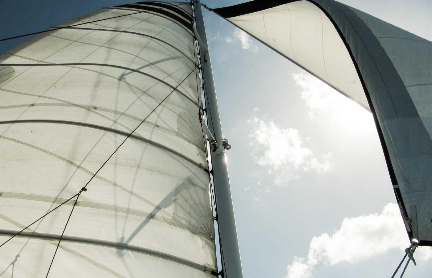 Портрет сотрудника