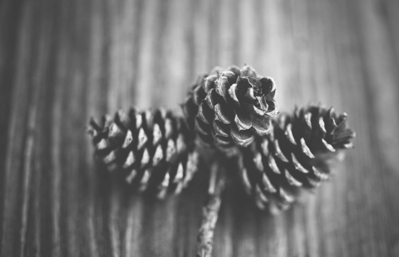 Индивидуальный план уборки